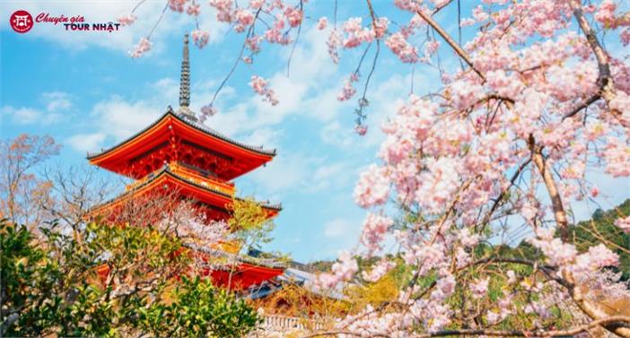 Tour Nhật Bản Mùa Hoa Anh Đào: Cung Đường Kyoto - Làng Chài Ine